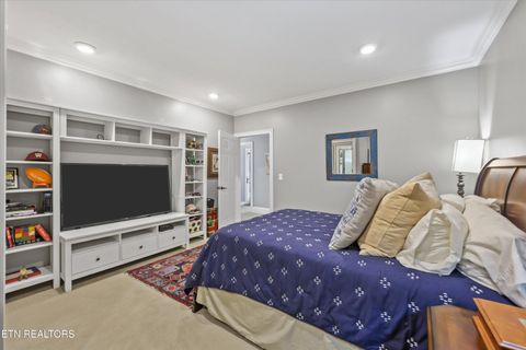 Tiny photo for 1623 Fledgling Lane, Talbott, TN 37877 (MLS # 1323810)