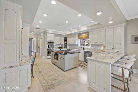 Tiny photo for 1623 Fledgling Lane, Talbott, TN 37877 (MLS # 1323810)