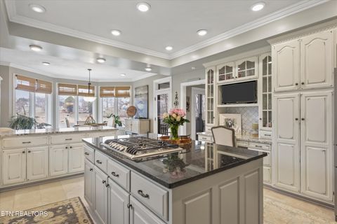 Tiny photo for 1623 Fledgling Lane, Talbott, TN 37877 (MLS # 1323810)