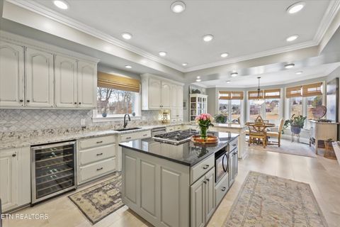 Tiny photo for 1623 Fledgling Lane, Talbott, TN 37877 (MLS # 1323810)