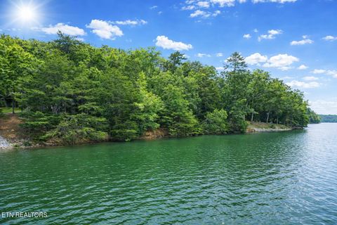 Photo of Eagle Point Drive, Rockwood, TN 37854 (MLS # 1342852)