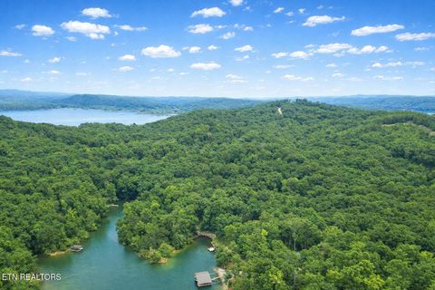 Tiny photo for Eagle Point Drive, Rockwood, TN 37854 (MLS # 1342852)
