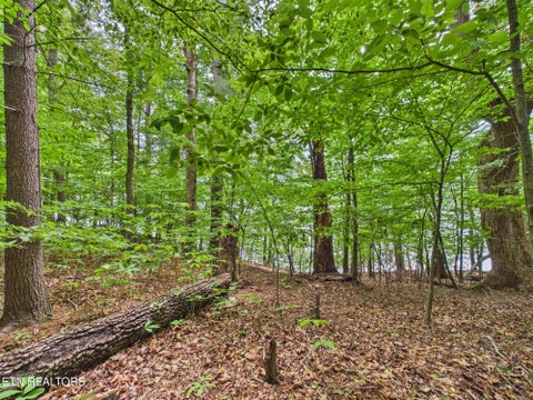 Tiny photo for Eagle Point Drive, Rockwood, TN 37854 (MLS # 1342852)