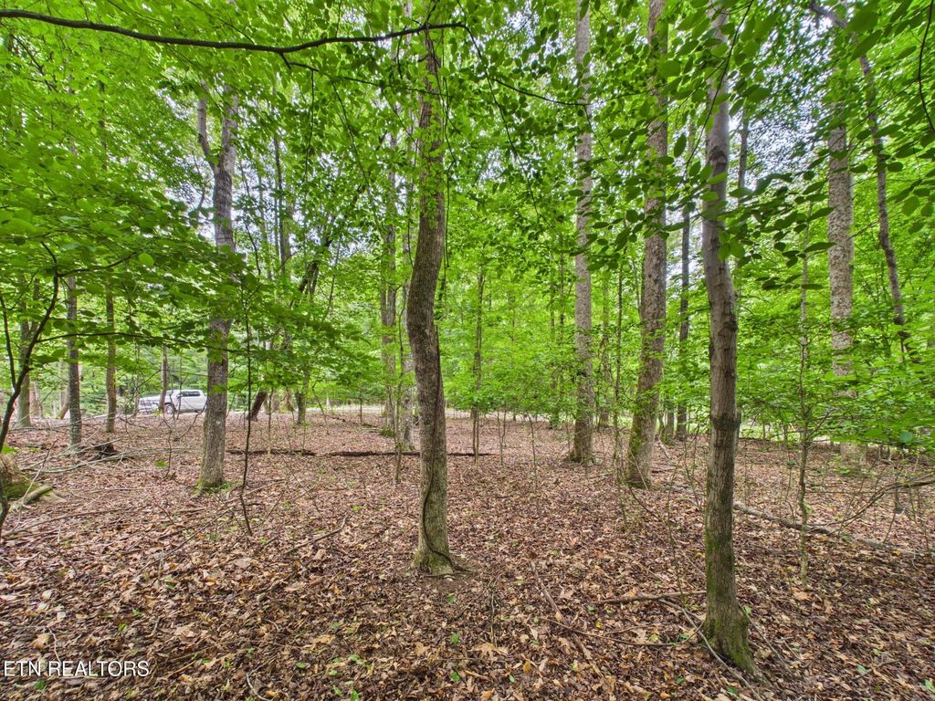 Photo of Eagle Point Drive, Rockwood, TN 37854 (MLS # 1342852)