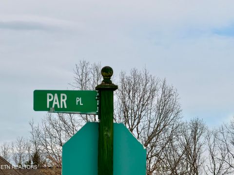 Tiny photo for Par Place, Tazewell, TN 37879 (MLS # 1333018)