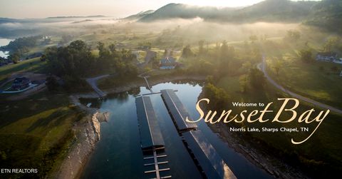 Tiny photo for 676 Russell Brothers Rd, Sharps Chapel, TN 37866 (MLS # 1332459)