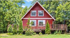 Photo of 1203 Golf Course Rd, Newport, TN 37821 (MLS # 1355924)