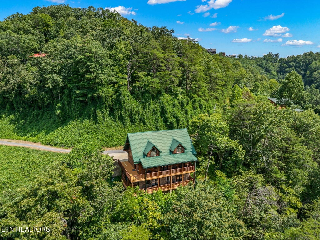 Photo of 4430 New Pioneer Tr, Pigeon Forge, TN 37863 (MLS # 1355082)