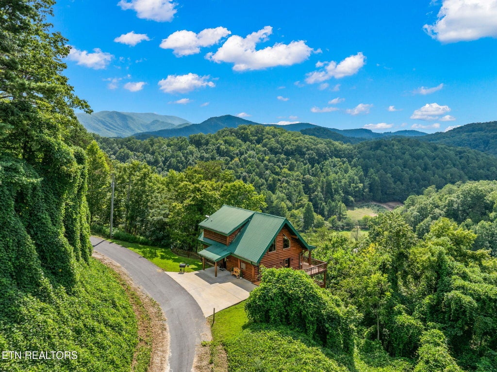 Photo of 4430 New Pioneer Tr, Pigeon Forge, TN 37863 (MLS # 1355082)
