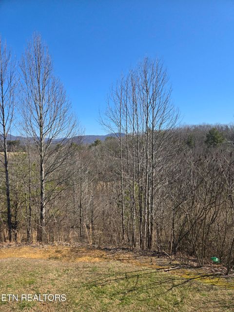 Tiny photo for 112 Daisy Lane, Wartburg, TN 37887 (MLS # 1331191)