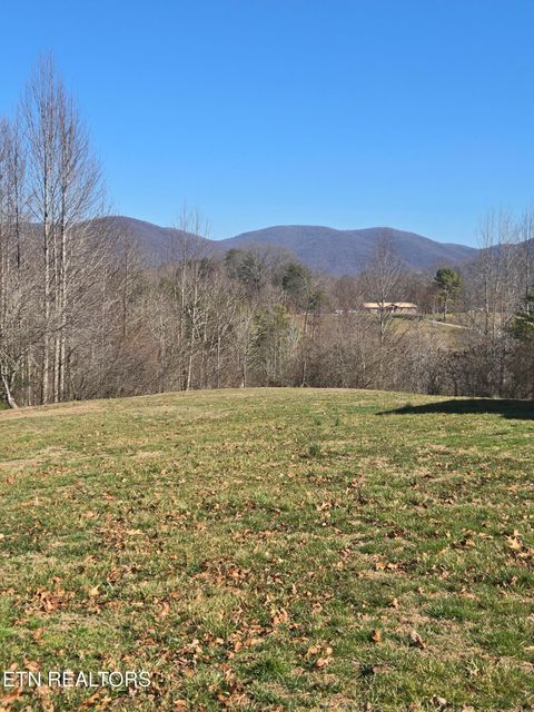 Tiny photo for 112 Daisy Lane, Wartburg, TN 37887 (MLS # 1331191)