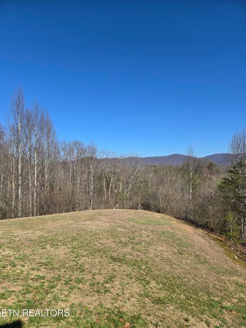 Tiny photo for 112 Daisy Lane, Wartburg, TN 37887 (MLS # 1331191)