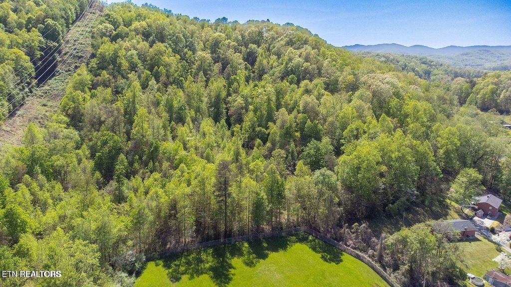 Photo of Morton Lane, Jellico, TN 37762 (MLS # 1315225)