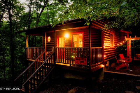 Tiny photo for 1044 Little Cove Rd, Sevierville, TN 37862 (MLS # 1331256)