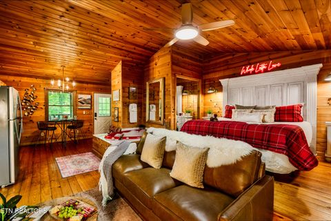 Tiny photo for 1044 Little Cove Rd, Sevierville, TN 37862 (MLS # 1331256)