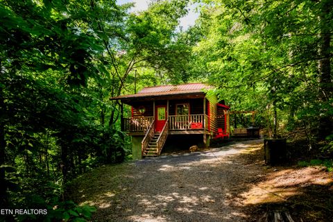 Tiny photo for 1044 Little Cove Rd, Sevierville, TN 37862 (MLS # 1331256)