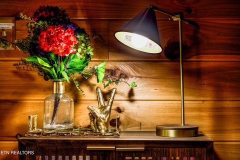 Tiny photo for 1044 Little Cove Rd, Sevierville, TN 37862 (MLS # 1331256)