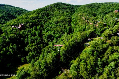 Tiny photo for 1044 Little Cove Rd, Sevierville, TN 37862 (MLS # 1331256)