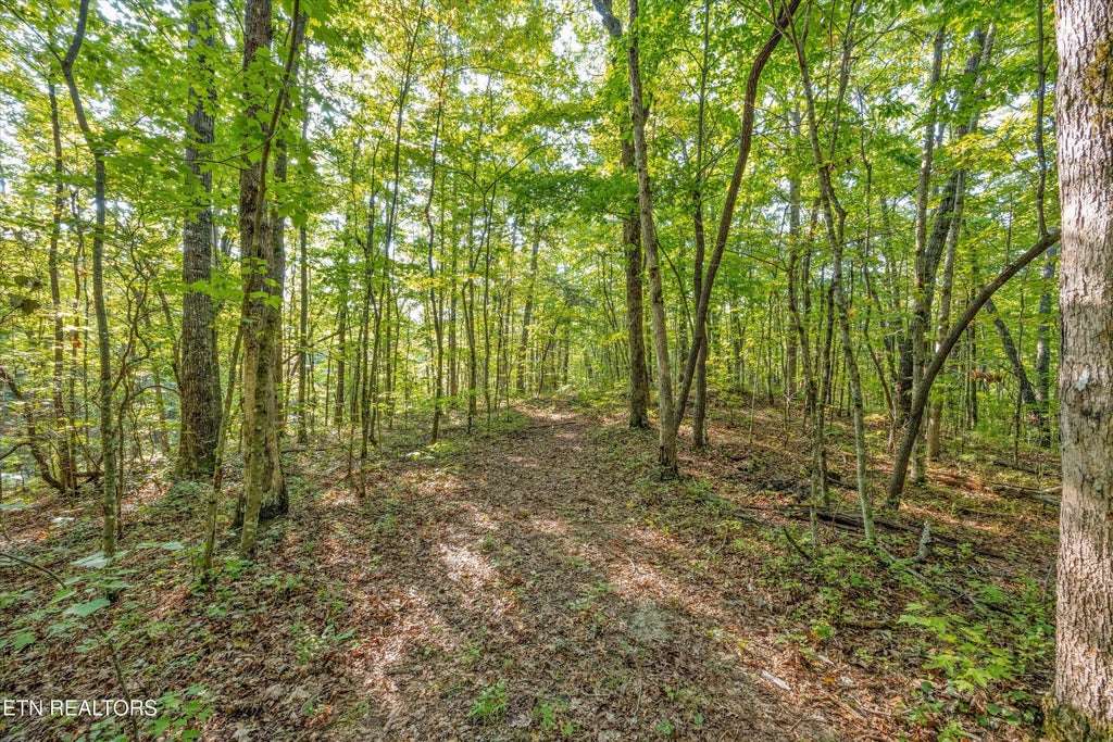 Photo of 6637 Avens Lane, Tallassee, TN 37878 (MLS # 1356430)