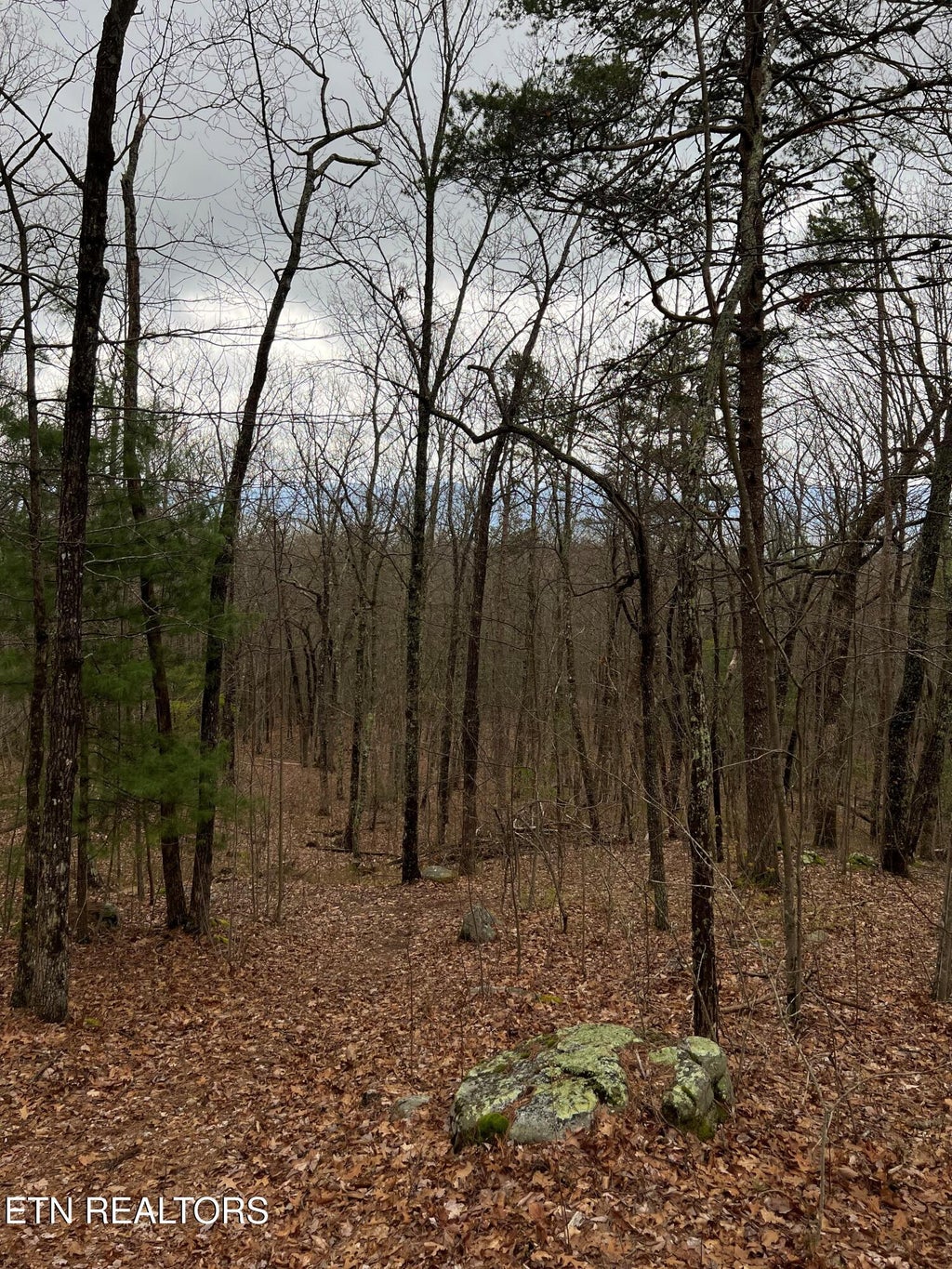 Photo of 6637 Avens Lane, Tallassee, TN 37878 (MLS # 1356430)