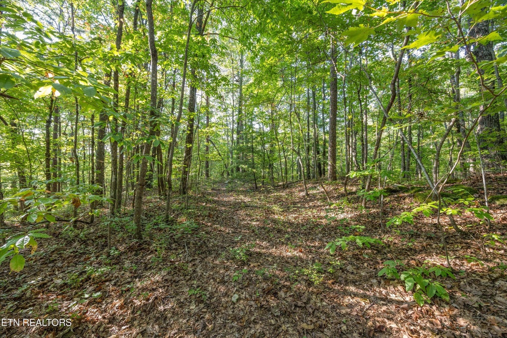 Photo of 6637 Avens Lane, Tallassee, TN 37878 (MLS # 1356430)