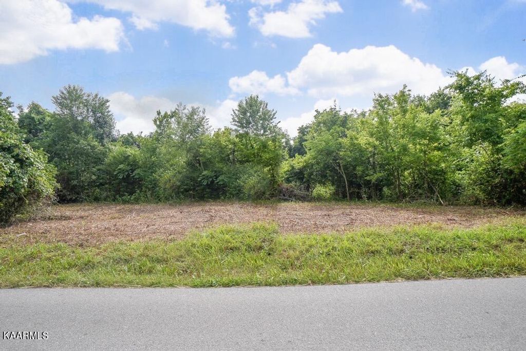 Photo of Gravelly Hills Rd, Louisville, TN 37777 (MLS # 1232534)