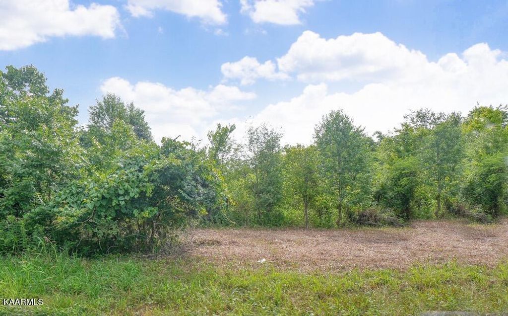 Photo of Gravelly Hills Rd, Louisville, TN 37777 (MLS # 1232534)