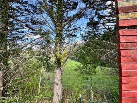 Tiny photo for 162 Highway 73, Townsend, TN 37882 (MLS # 1335023)