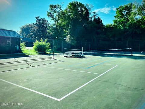 Tiny photo for 162 Highway 73, Townsend, TN 37882 (MLS # 1335023)