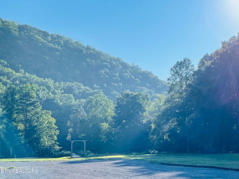 Tiny photo for 162 Highway 73, Townsend, TN 37882 (MLS # 1335023)