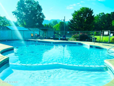 Tiny photo for 162 Highway 73, Townsend, TN 37882 (MLS # 1335023)