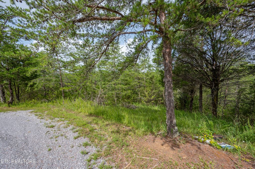Photo of 7 Parrotts Chapel Rd, Sevierville, TN 37876 (MLS # 1309718)