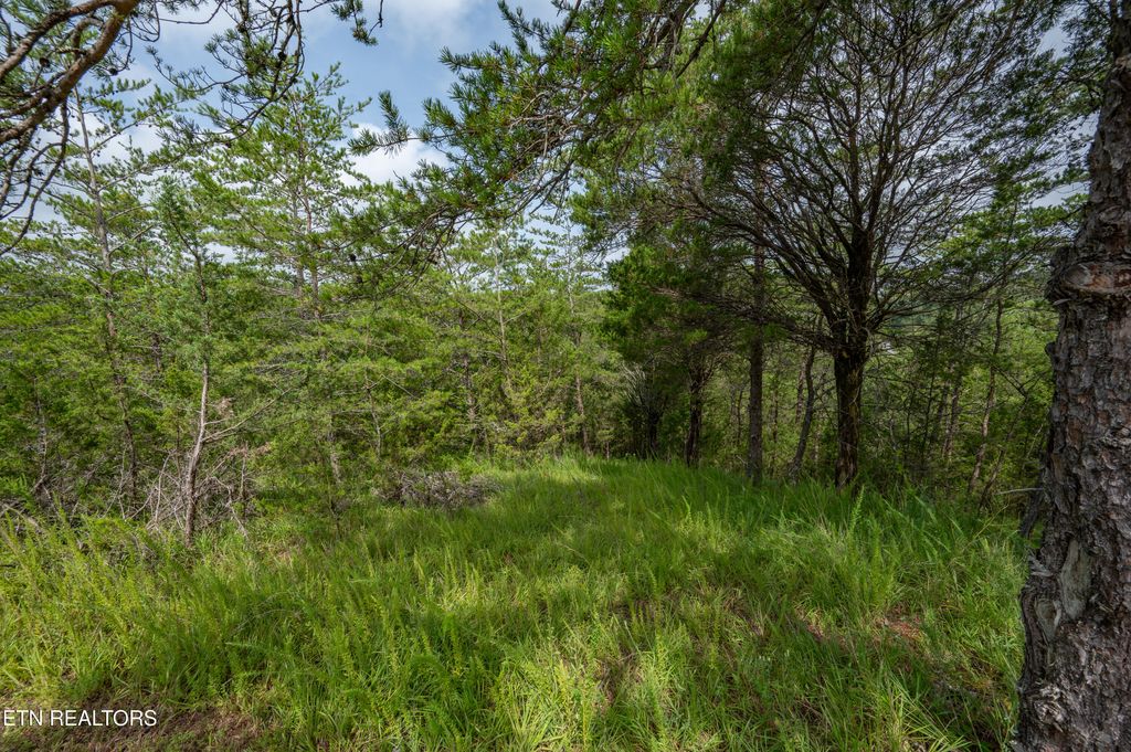 Photo of 7 Parrotts Chapel Rd, Sevierville, TN 37876 (MLS # 1309718)