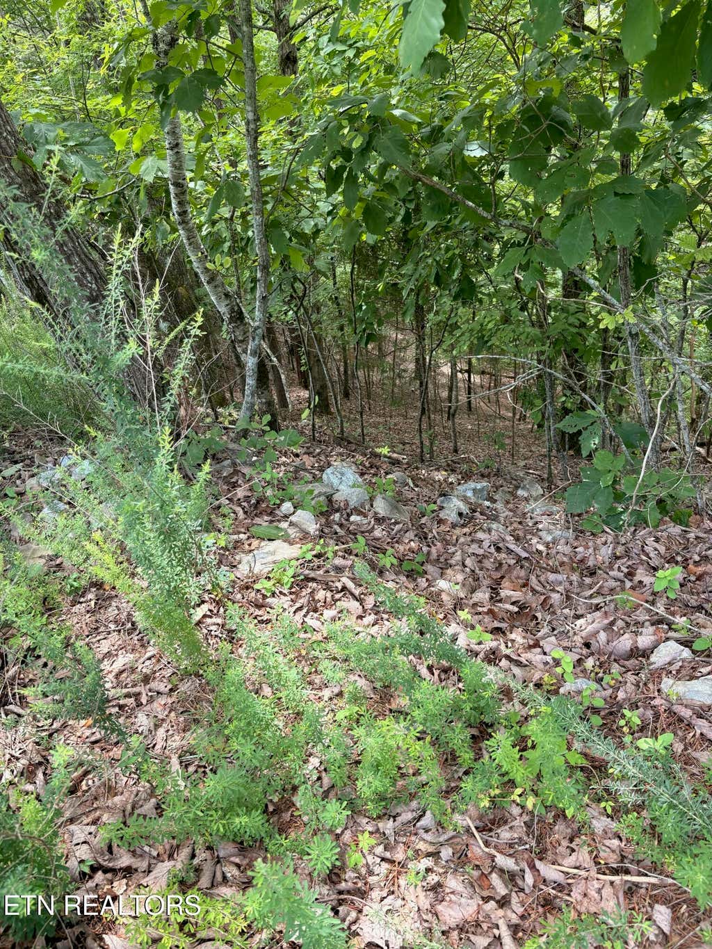 Photo of Flint Ridge Road, Lot 417, Rockwood, TN 37854 (MLS # 1348305)