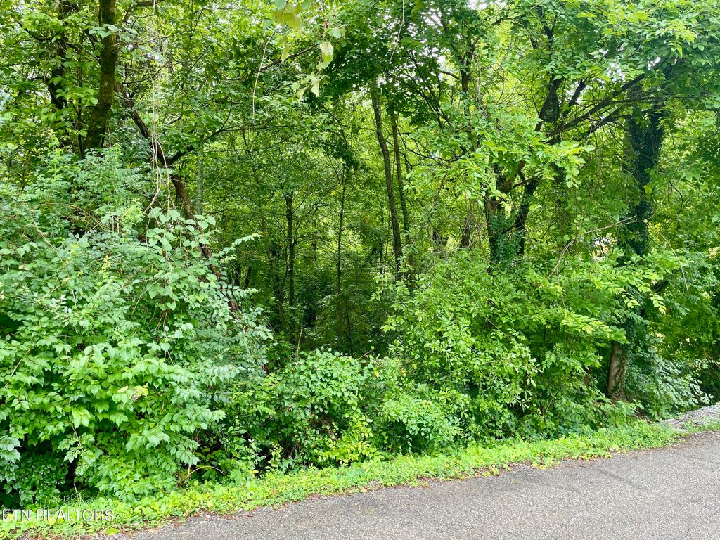 Photo of 5119 Odell Rd, Knoxville, TN 37920 (MLS # 1348181)