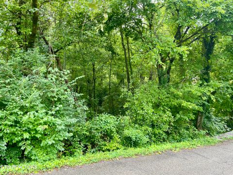 Photo of 5119 Odell Rd, Knoxville, TN 37920 (MLS # 1348181)