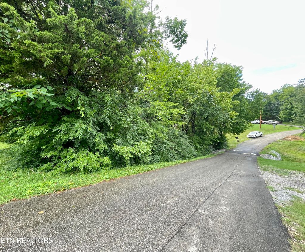 Photo of 5119 Odell Rd, Knoxville, TN 37920 (MLS # 1348181)