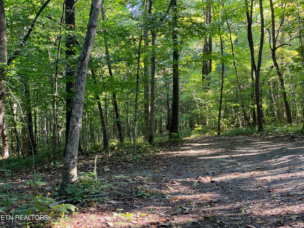 Photo of 0 Conner Rd, Powell, TN 37849 (MLS # 1252282)