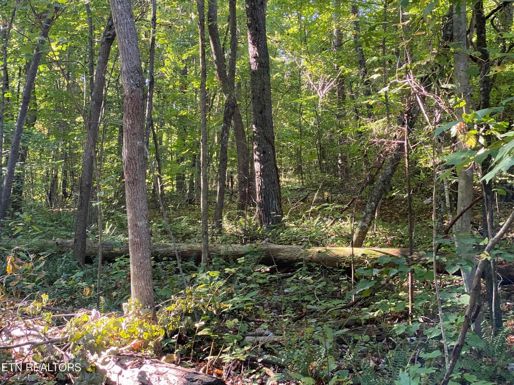 Photo of 0 Conner Rd, Powell, TN 37849 (MLS # 1252282)