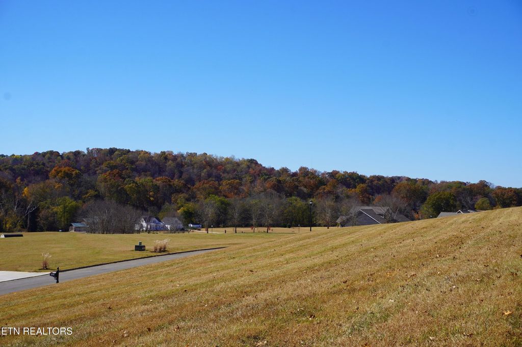 Photo of 2031 River Mist Circle, New Market, TN 37820 (MLS # 1344016)