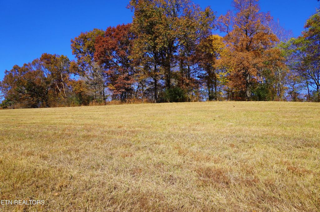 Photo of 2031 River Mist Circle, New Market, TN 37820 (MLS # 1344016)