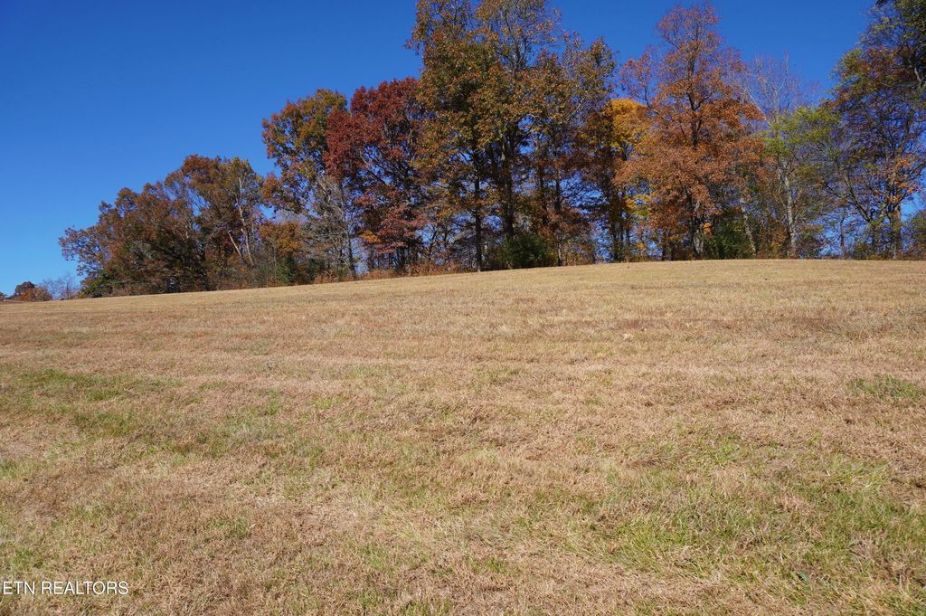 Photo of 2031 River Mist Circle, New Market, TN 37820 (MLS # 1344016)