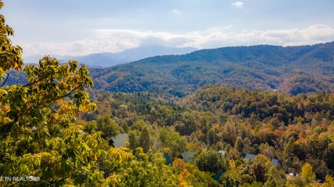 Photo of 4121 Sherwood Heights Way, Pigeon Forge, TN 37863 (MLS # 1319568)