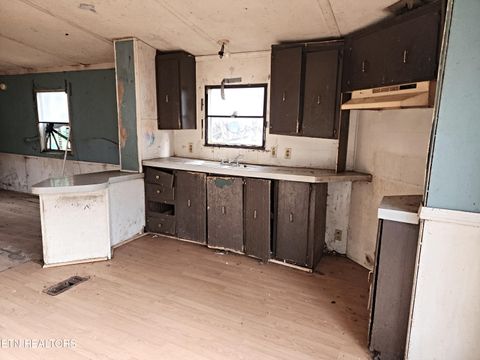 Tiny photo for 975 Davis Chapel Rd, LaFollette, TN 37766 (MLS # 1325124)