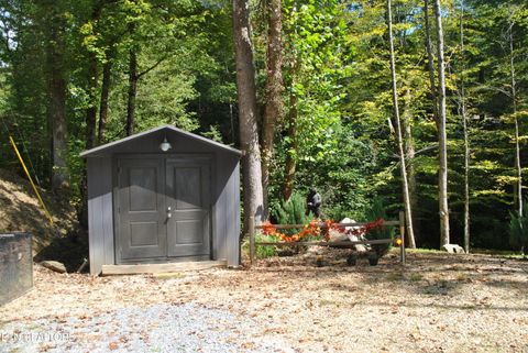 Tiny photo for 750 Caney Creek Rd, Cosby, TN 37722 (MLS # 1298596)