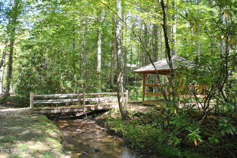 Tiny photo for 750 Caney Creek Rd, Cosby, TN 37722 (MLS # 1298596)