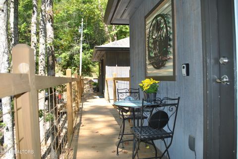 Tiny photo for 750 Caney Creek Rd, Cosby, TN 37722 (MLS # 1298596)
