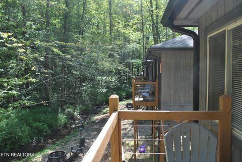 Tiny photo for 750 Caney Creek Rd, Cosby, TN 37722 (MLS # 1298596)