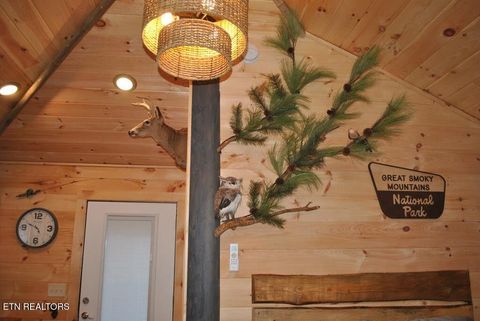 Tiny photo for 750 Caney Creek Rd, Cosby, TN 37722 (MLS # 1298596)