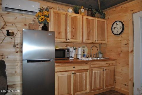 Tiny photo for 750 Caney Creek Rd, Cosby, TN 37722 (MLS # 1298596)